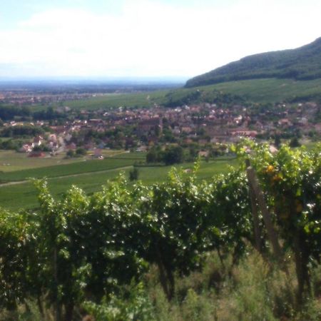 Gites & Chambes D'Hotes Fugler Orschwihr Exteriör bild